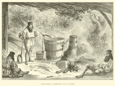 Valaques distillant de l