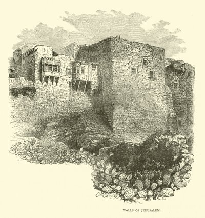 Murs de Jérusalem - English School