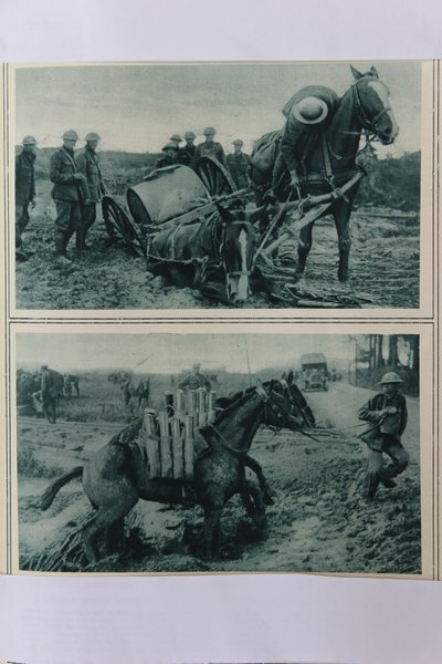Chevaux de guerre s