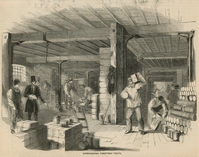 Entreposage des fruits de Noël - English School