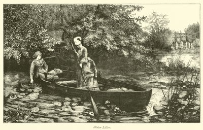 Nénuphars - English School