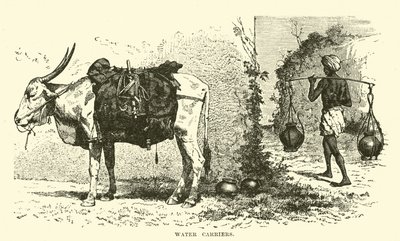 Porteurs d
