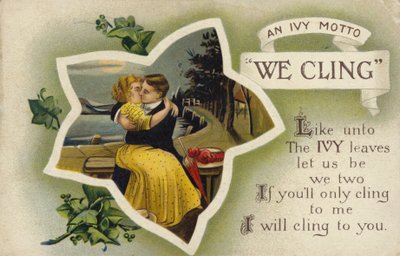 Nous nous accrochons - Une devise de lierre - English School