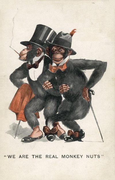 Nous sommes les vrais Monkey Nuts - English School