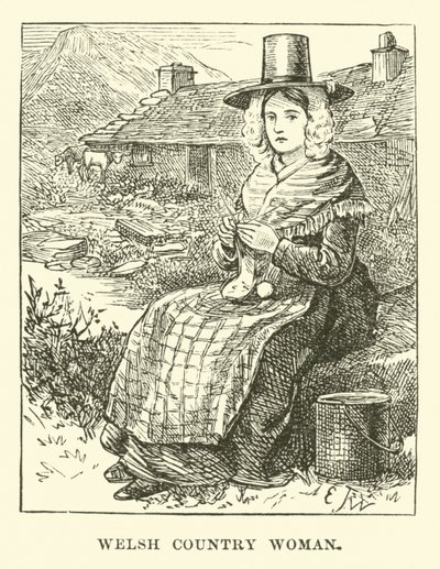 Femme de campagne galloise - English School