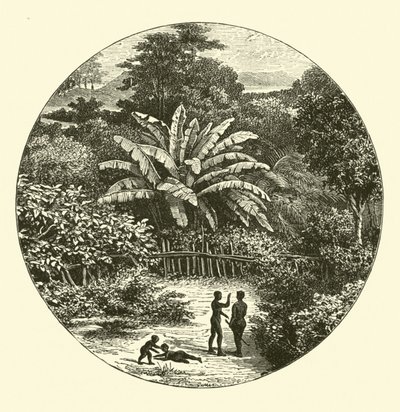 Afrique de l