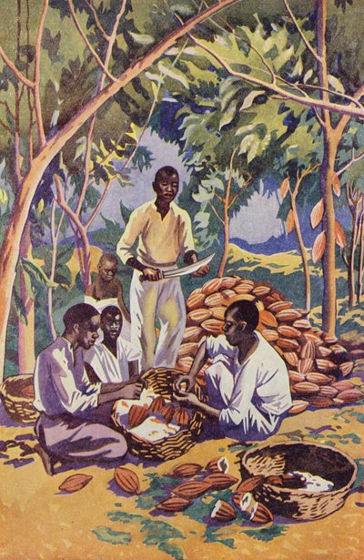 Afrique de l