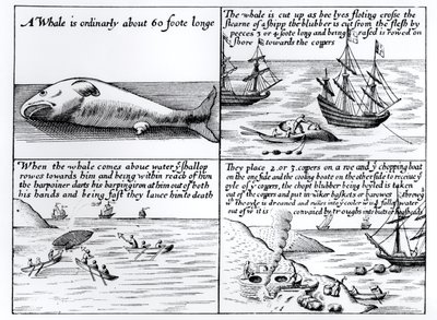 Chasse à la baleine à Spitzbergen en 1611 - English School