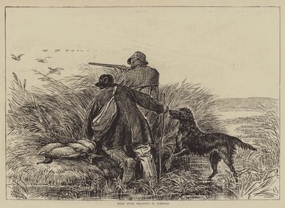 Chasse au Canard Sauvage dans le Norfolk - English School