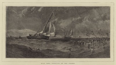 Chasse aux oiseaux sauvages sur la Tamise (gravure) - English School