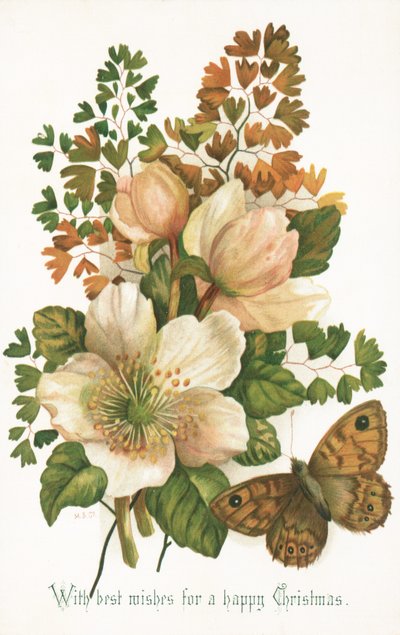 Roses sauvages et papillon, Carte de Noël - English School