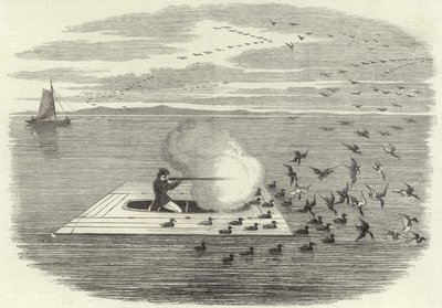 Chasse au canard sauvage sur le Potomac - English School