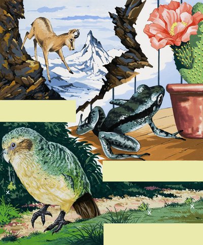 Montage de la faune - English School