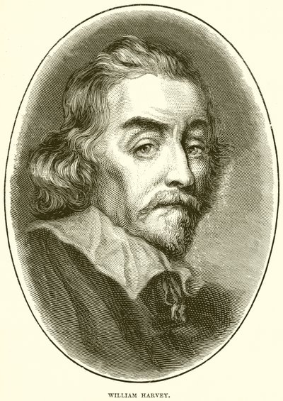 William Harvey - English School