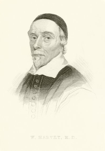 William Harvey - English School