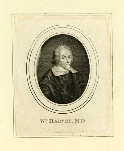 William Harvey - English School