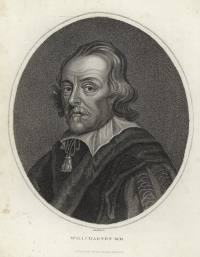 William Harvey - English School
