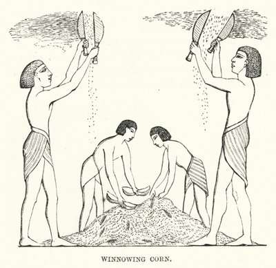 Vannage du blé (gravure) - English School