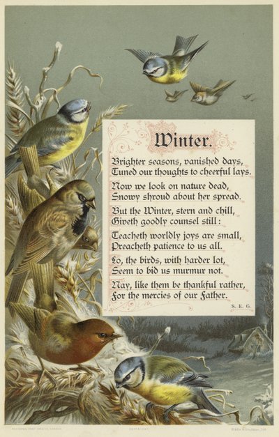 Hiver - English School