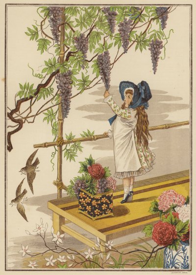 Glycine - English School