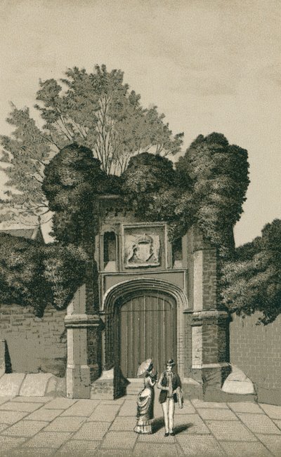 Wolsey