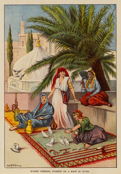 Femmes nourrissant des pigeons sur un toit à Tunis - English School