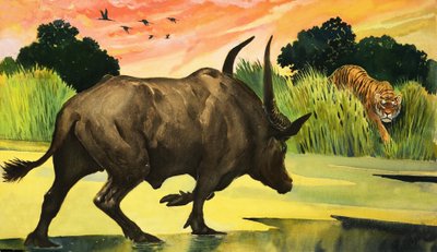 Merveilles de la nature : L