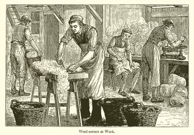 Trieurs de laine - English School