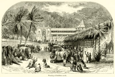 Adoration de la dent de Bouddha - English School