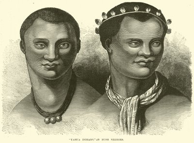 Indiens Yahua, ou Noirs des buissons - English School