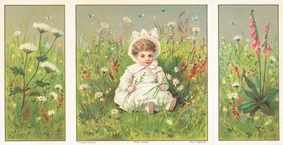 Jeune enfant assis dans une prairie fleurie, Carte de Noël - English School