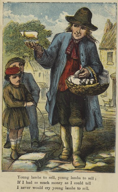 Jeunes agneaux à vendre - English School