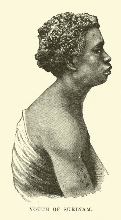 Jeune du Surinam - English School