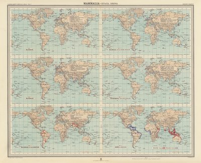 Zoogéographie : Mammifères, Cétacés, Siréniens - English School