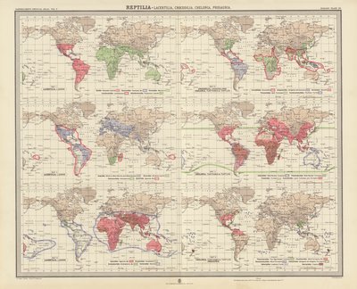 Zoogéographie : Reptilia, Lacertilia, Crocodilia, Chelonia, Prosauria - English School