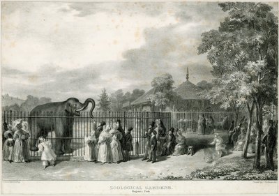 Jardins zoologiques, Regents Park - English School