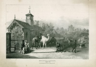 Jardins zoologiques, Regents Park - English School