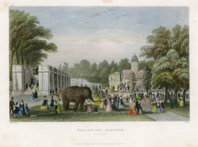 Jardins zoologiques, Regents Park - English School