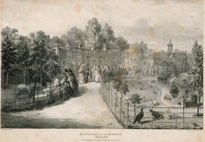 Jardins zoologiques, Regents Park - English School