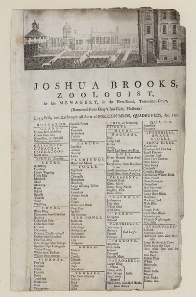 Zoologiste, Joshua Brooks - English School