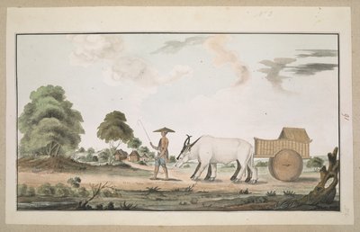 Un chariot à bœufs et son conducteur - English School