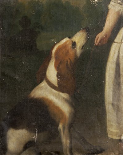 Un chien de chasse - English School English School