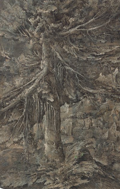 Le grand sapin. Paysage de montagne avec une ville fortifiée et une forteresse, un grand sapin au premier plan - Erhard Altdorfer