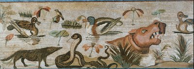 Animaux aquatiques et autres - Erich Lessing