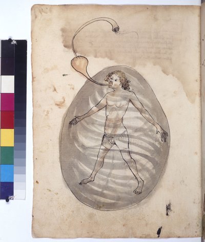 Pleine page : plongeur, vers 1430 (dessin à la plume de couleur) - Erich Lessing