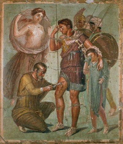 Énée blessé entre Vénus et Ascagne, de la Casa di Sirico - Erich Lessing