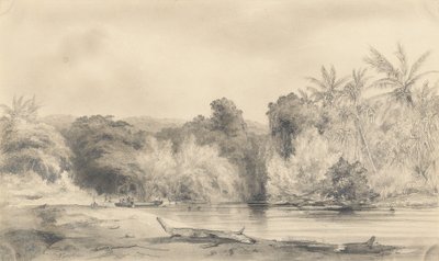 Entrée de la rivière Paiou, île de Vanikoro - Ernest Auguste Goupil