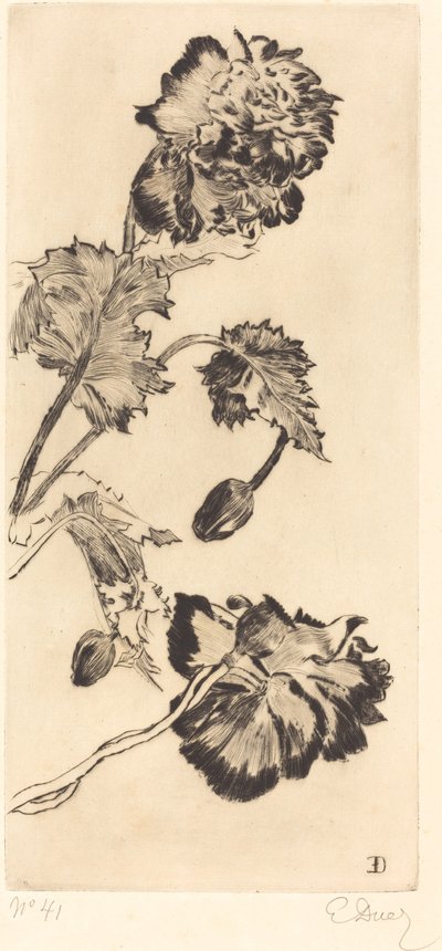 Fleurs - Ernest Ange Duez