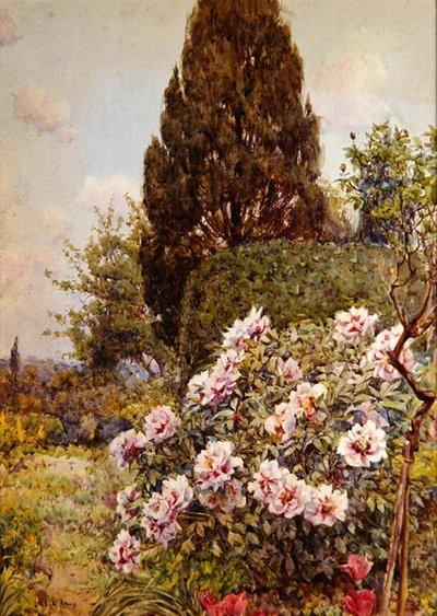 Pivoines, Coddington, près de Ledbury - Ernest Arthur Rowe