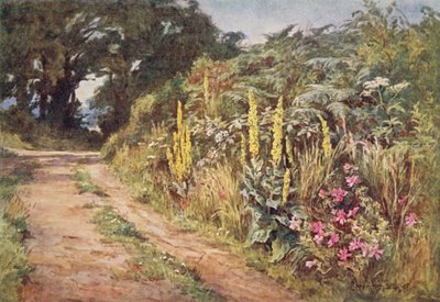 Le Cœur de la haie - Ernest Benger or Berenger